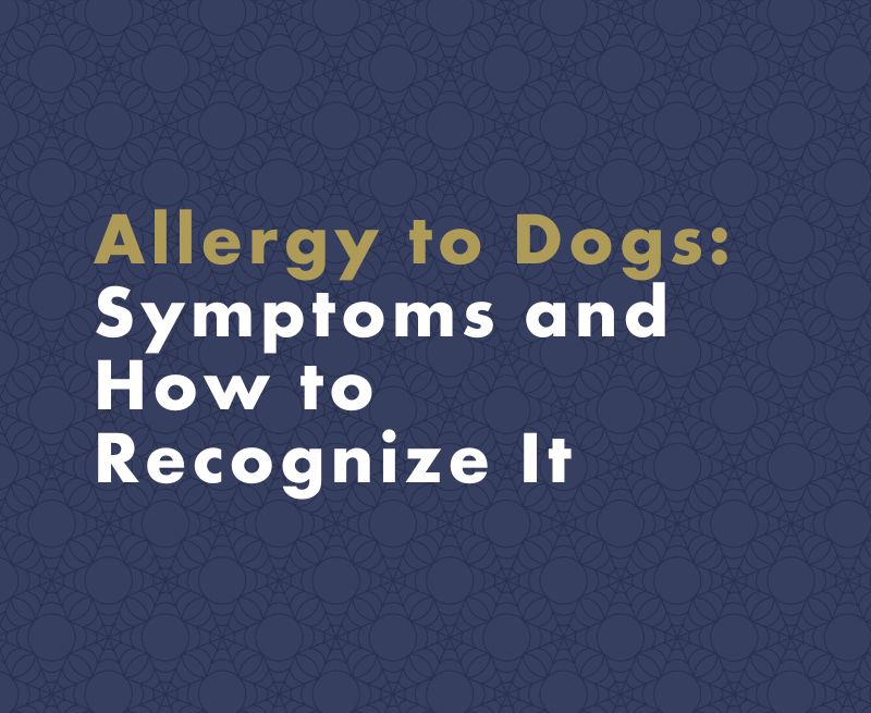 Allergy to Dogs: Symptoms and How to Recognize It