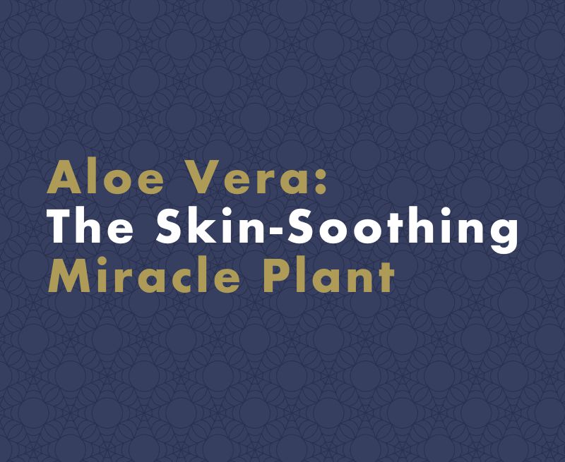 Aloe Vera: The Miracle Plant for Skin Soothing and Its Skin Benefits