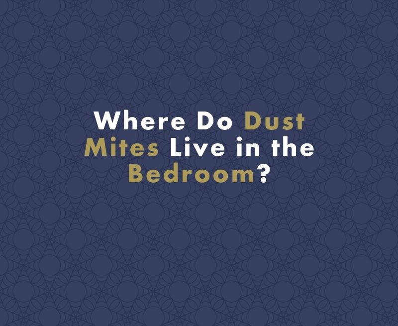 Where Do Dust Mites Live in the Bedroom?