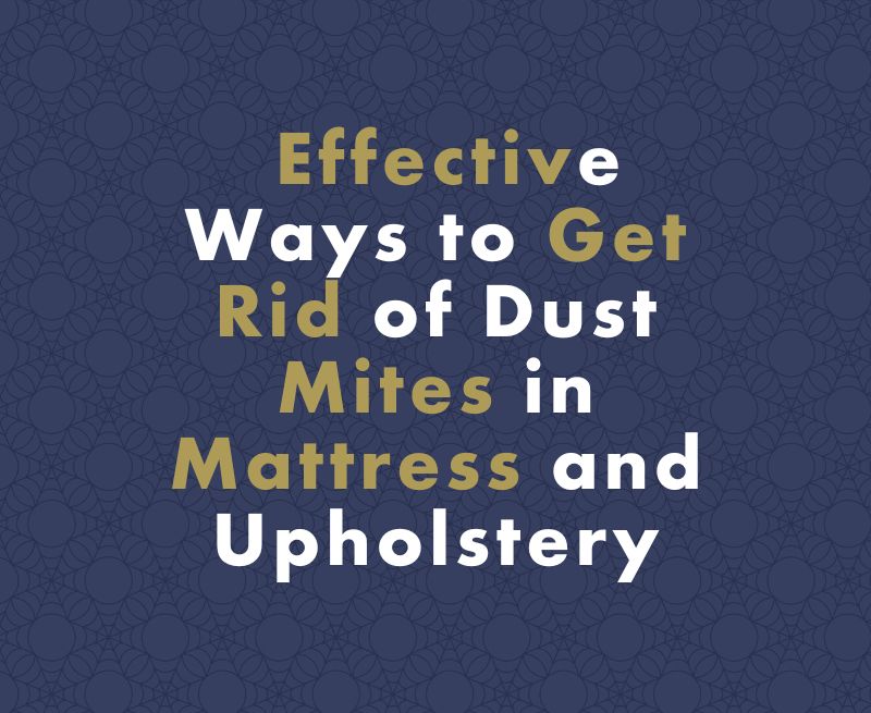 Effective Ways to Get Rid of Dust Mites in Mattress and Upholstery