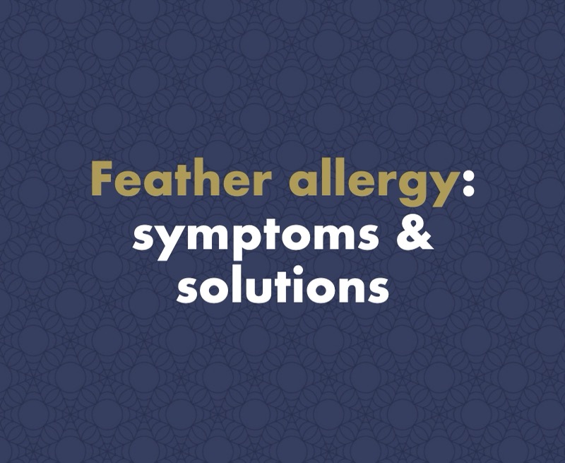 Feather Allergy: Symptoms, Causes and How to Sleep Without Sneezing