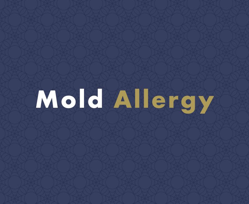 Mold Allergy: Everything You Need to Know