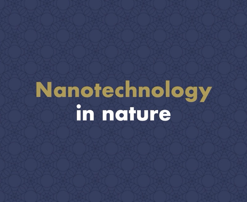 What Is Nanotechnology and Where Do We Find It in Nature?