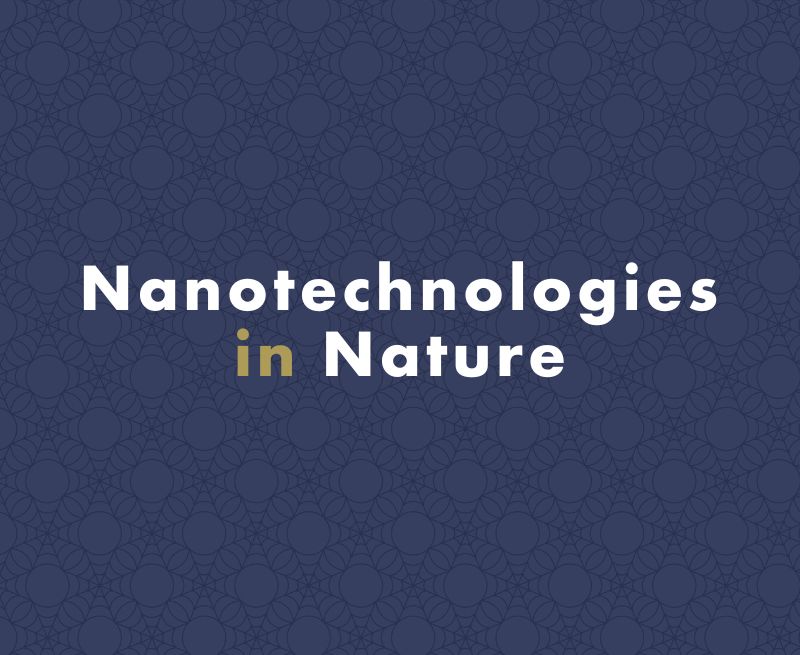 What Are Nanotechnologies and Where Are They Used in Nature?