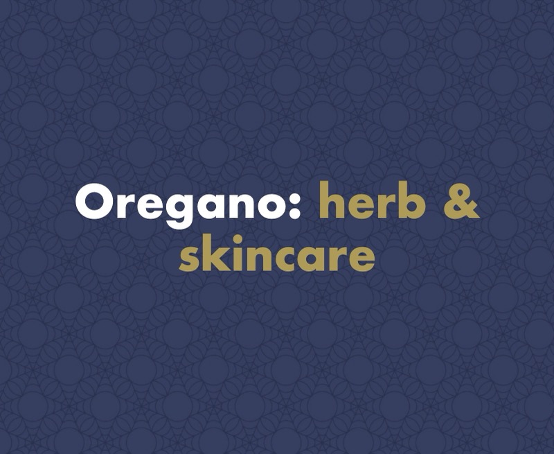 Oregano: The Mediterranean Herb Behind the Spice Rack