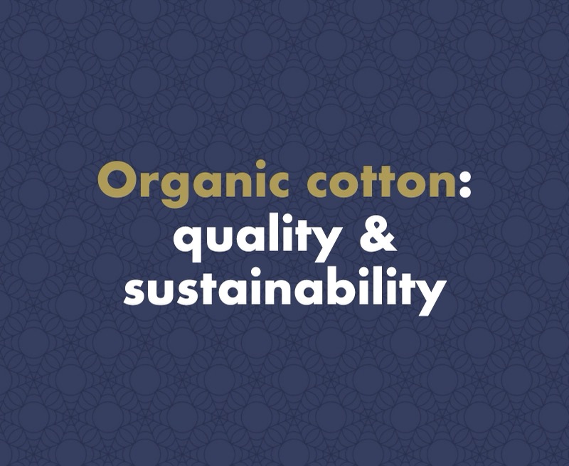 What Is Organic Cotton? A Practical Guide to Quality and Sustainable Products