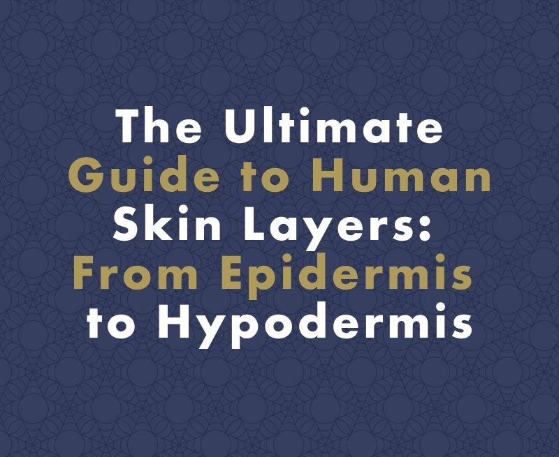 The Ultimate Guide to Human Skin Layers: From Epidermis to Hypodermis