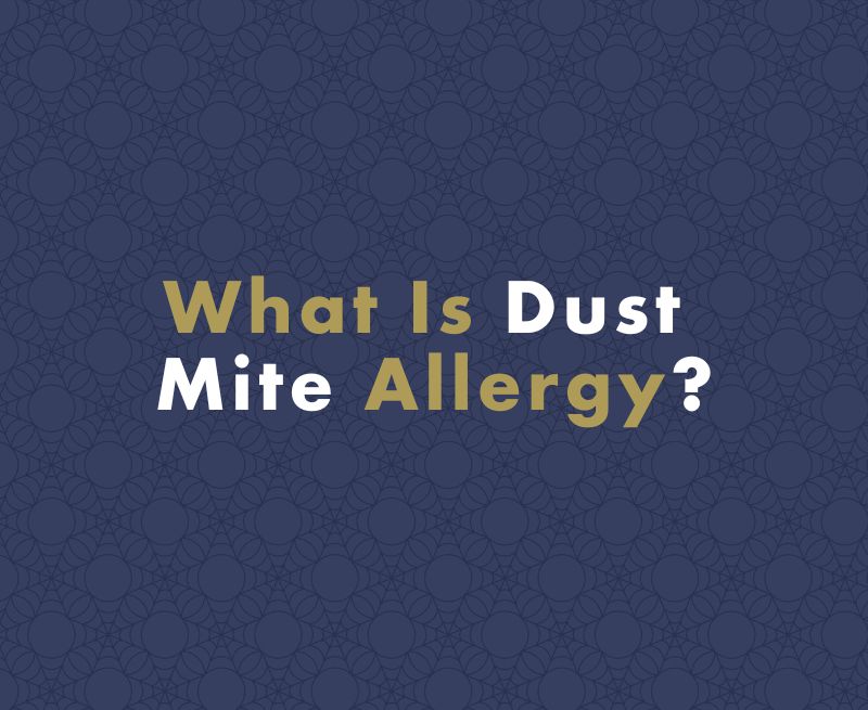 Dust Mite Allergy Symptoms, Relief and Treatment