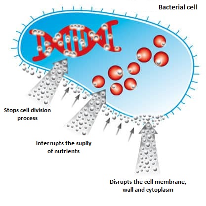 Bacteria-patches-stopbac-efficiency