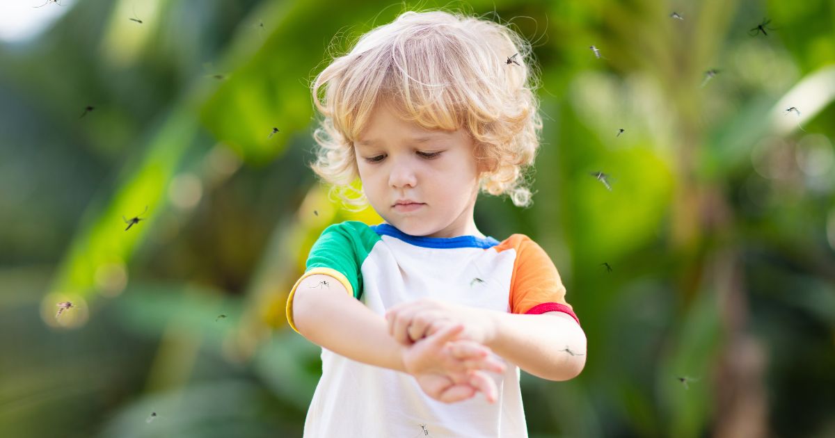 allergies-to-insects-in-children