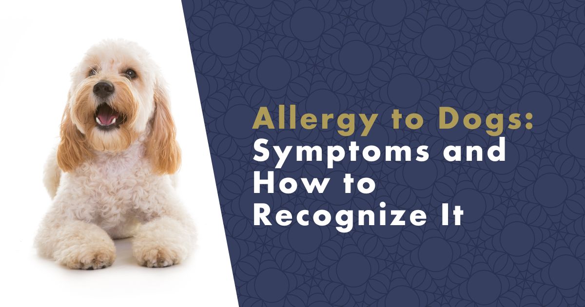 allergy-to-dogs-1