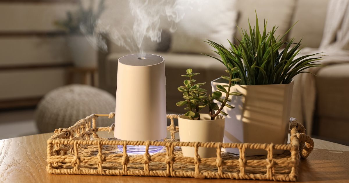humidifier