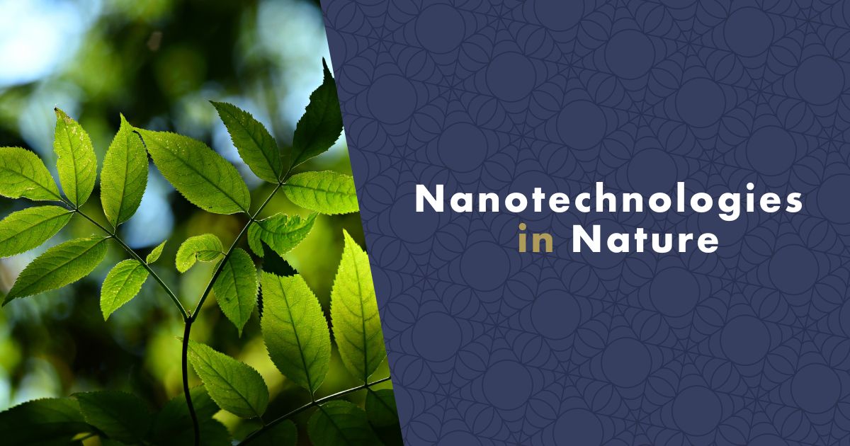 nanotechnologies-in-nature-fb