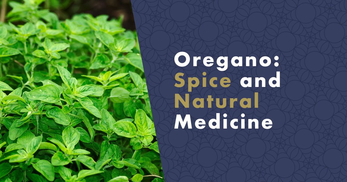 oregano-spice-and-natural-medicine