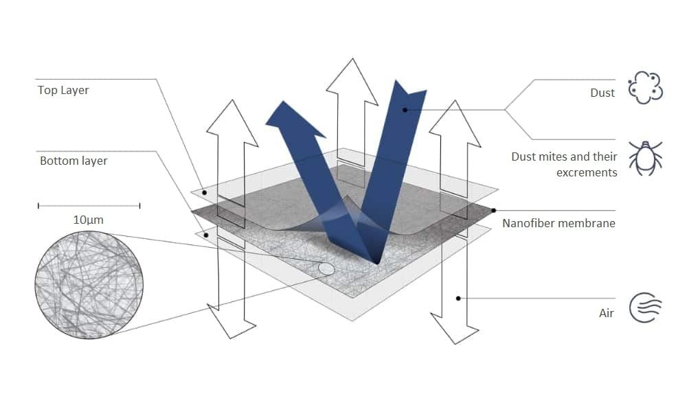 scheme-nanomembrane