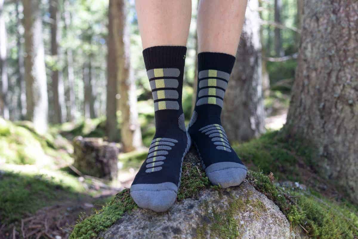 socks-in-the-forest