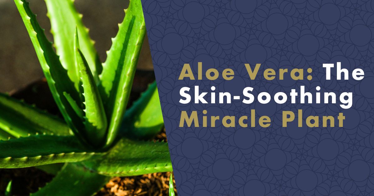 Aloe Vera: The Miracle Plant for Skin Soothing and Its Effects