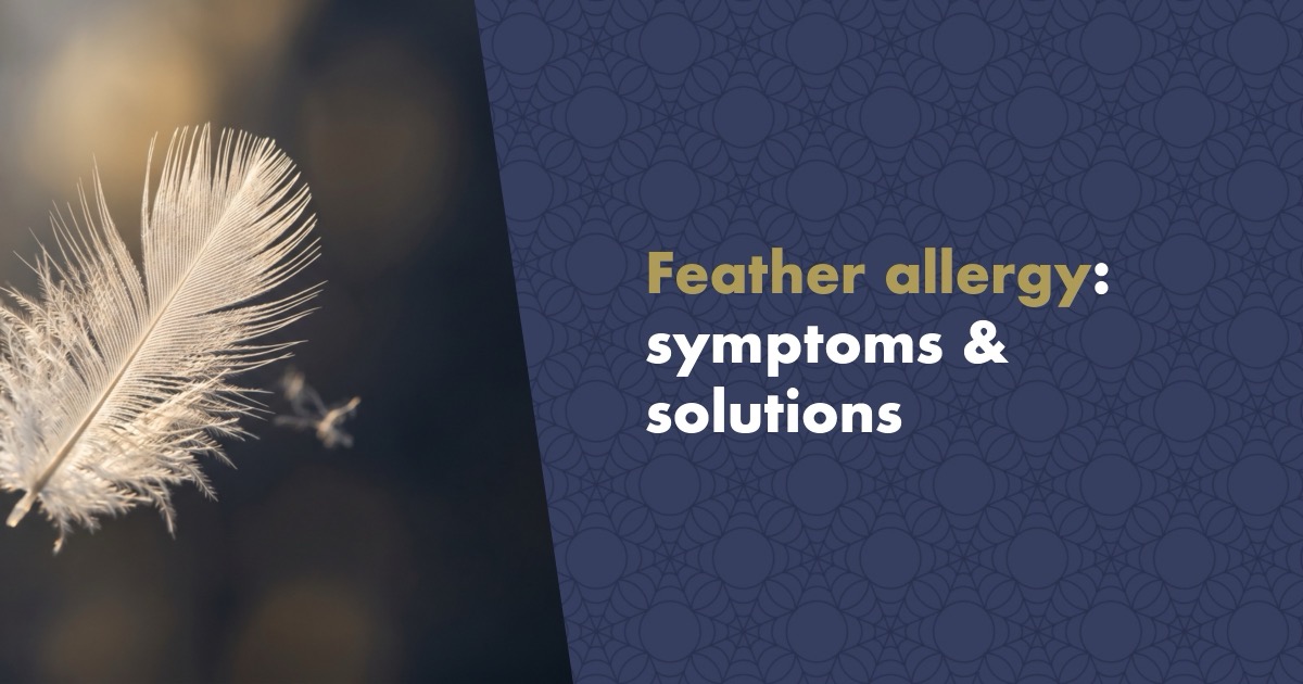 Feather Allergy: Symptoms, Causes and How to Sleep Without Sneezing