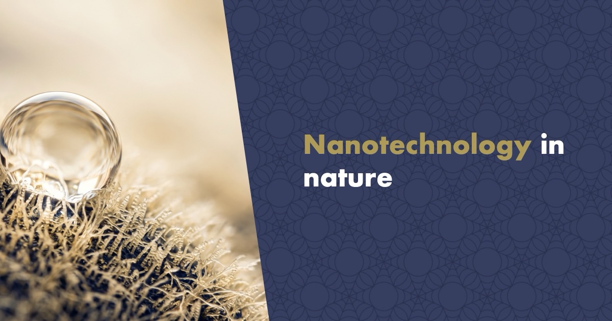 What Is Nanotechnology and Where Do We Find It in Nature?