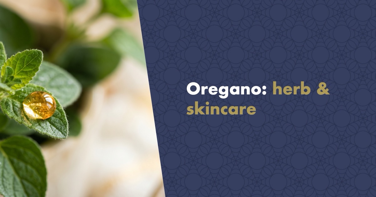 Oregano: The Mediterranean Herb Behind the Spice Rack