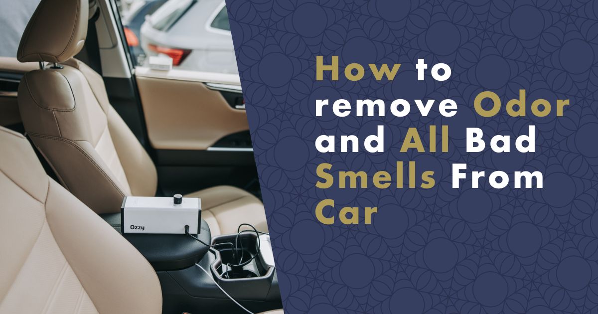 How to remove Odor and All Bad Smells From Car nanoSPACE