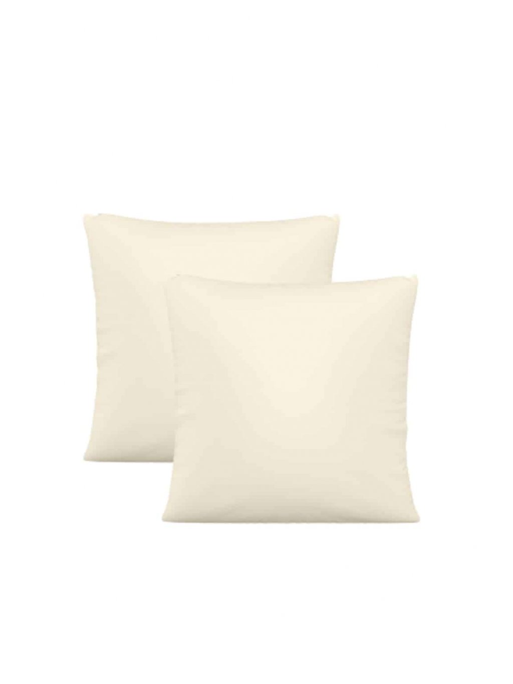 2 Pack) Anti-Dust Mite and Allergen Proof Pillowcases