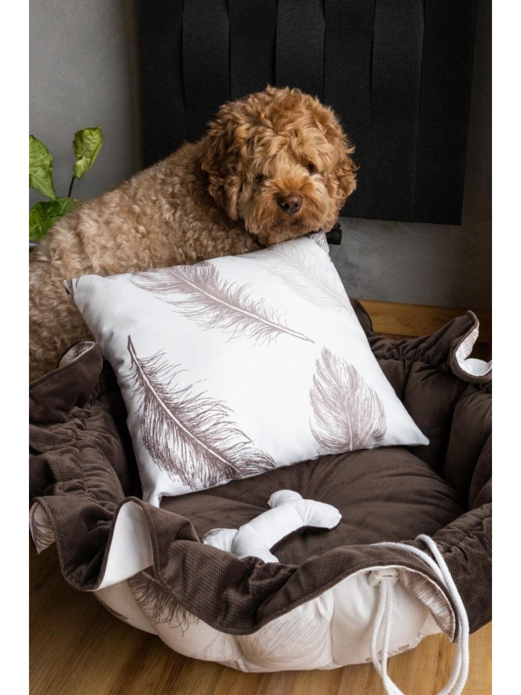 Anti dust mite dog bed sales