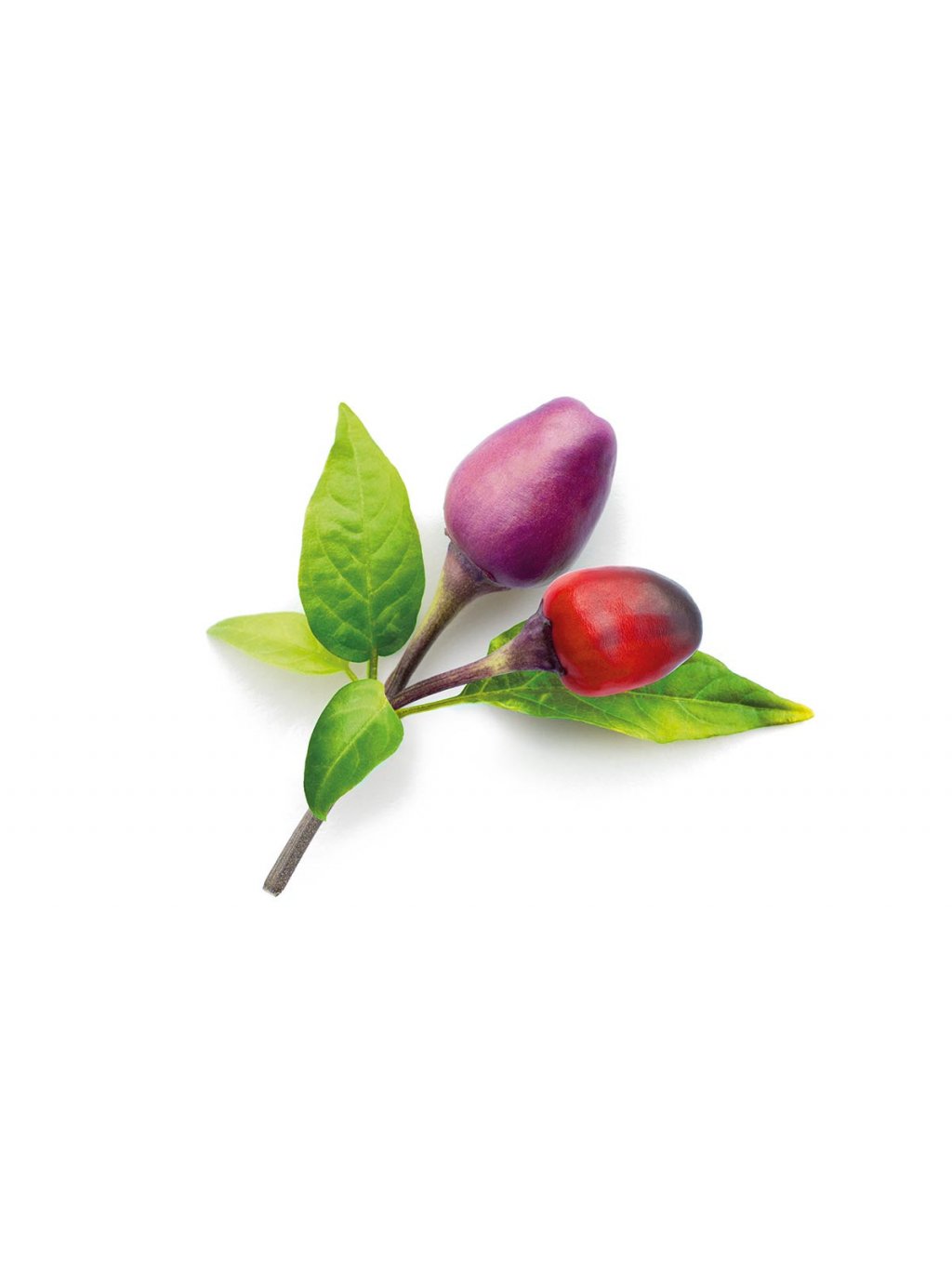3-pack Purple Chili Plant Pods for Click & Grow