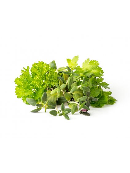 9-pack Steak Seasoning Mix Plant Pods for Click & Grow Smart Garden
