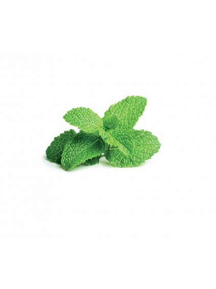 3-pack Peppermint Plant Pods for Click & Grow