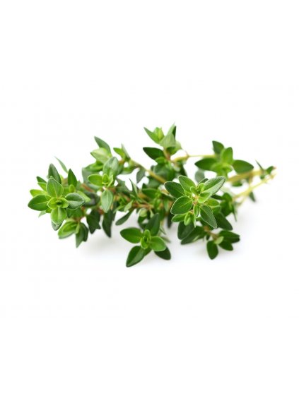 3-pack Thyme Plant Pods for Click & Grow