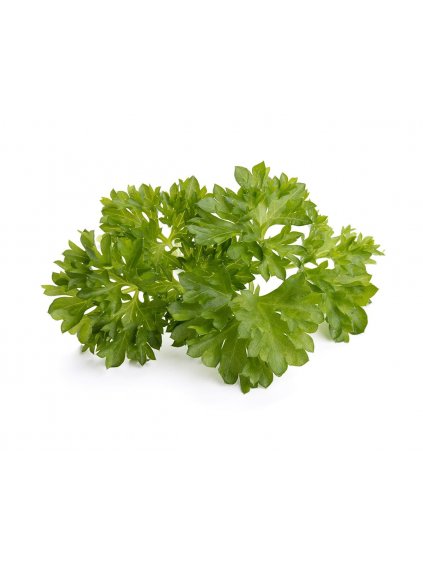 3-pack Curly Parsley Plant Pods for Click & Grow