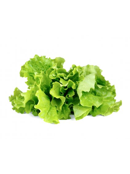 3-pack Green Lettuce Plant Pods for Click & Grow