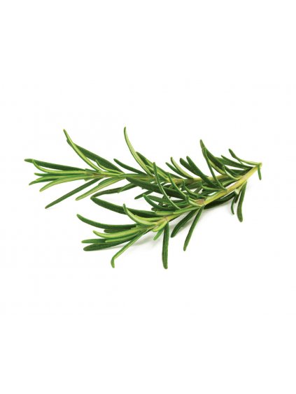 3-pack Rosemary Plant Pods for Click & Grow