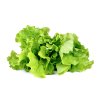 3-pack Green Lettuce Plant Pods for Click & Grow