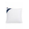 2 pack anti allergy pillow 40 x 40 cm non quilted zippered 2