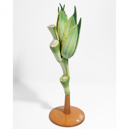Flower Wheat