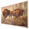 Bison Poster