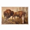 Bison Poster