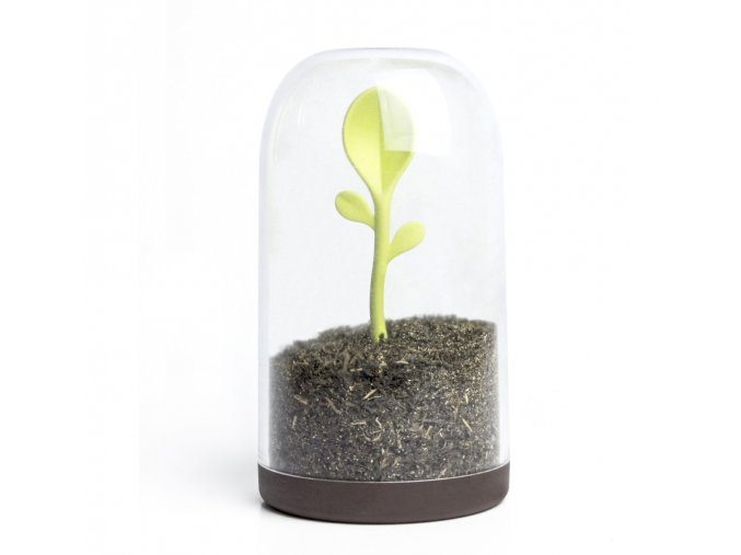 35855 7 doza se lzickou qualy design sprout jar 10205bn