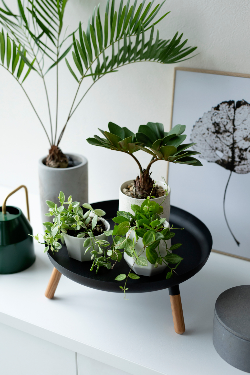 Podnos Plain 5565, černý YAMAZAKI