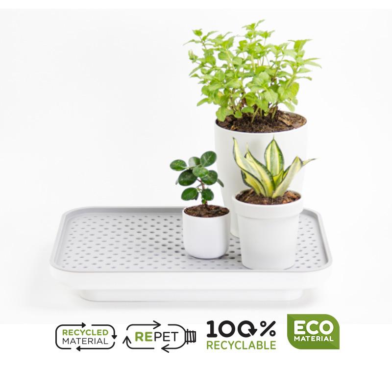 Zavlažovací/odkapávací podnos Oasis Tray 10309 QUALY DESIGN