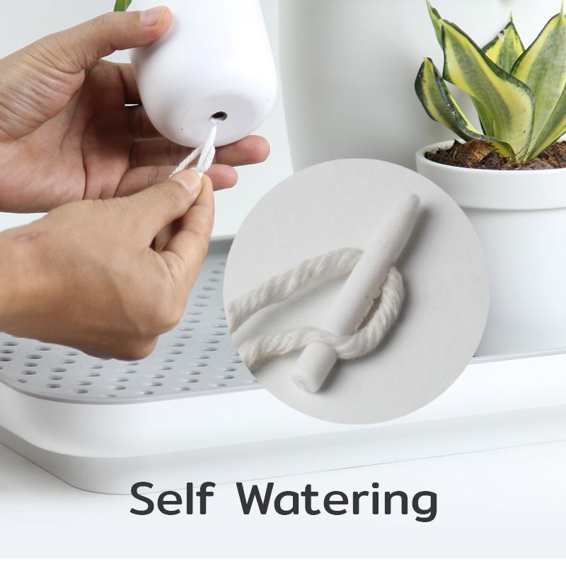 Zavlažovací/odkapávací podnos Oasis Tray 10309 QUALY DESIGN