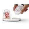 33683 4 slanka a peprenka qualy coral
