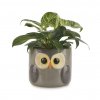 35655 1 obal na kvetinac balvi owl 27678