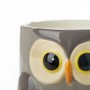 35655 6 obal na kvetinac balvi owl 27678