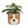 35658 1 obal na kvetinac balvi woof 27679