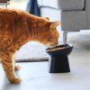 38152 1 keramicka pet miska sklonena yamazaki tower 1782 cerna