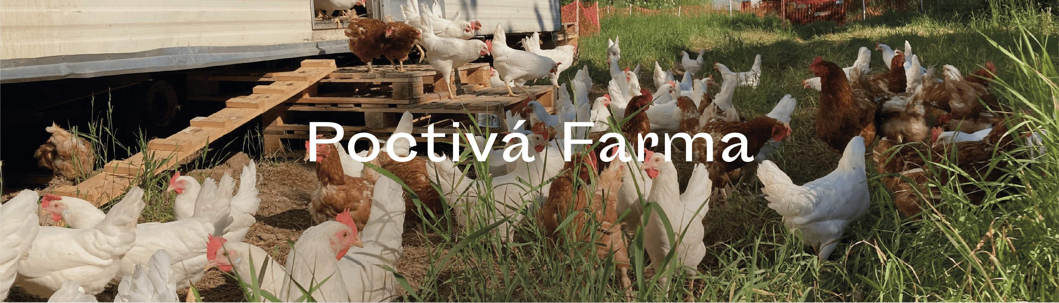 Poctivá farma