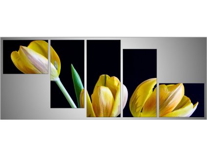 Pětidílný fotoobraz 150x68 tulipány